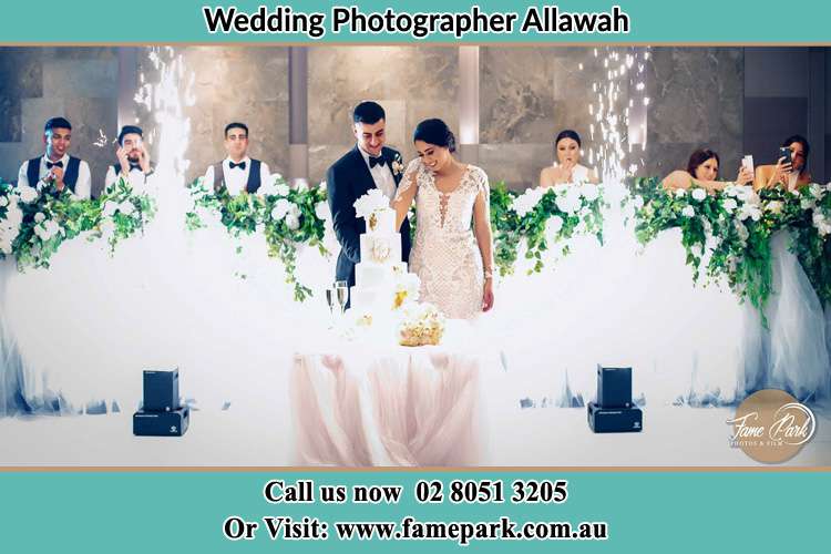 Photo of the Groom and the Bride slicing the cake Allawah NSW 2218