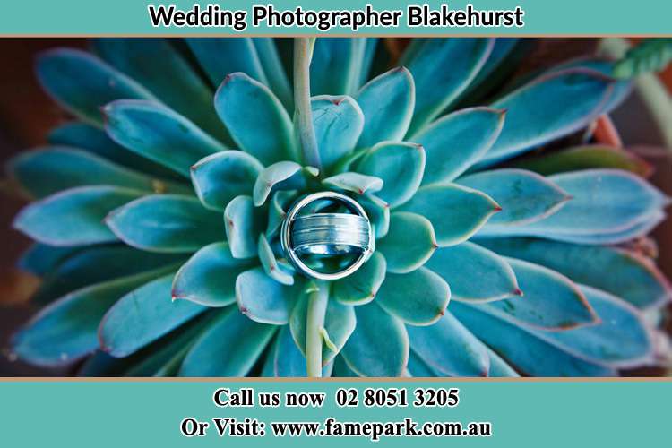 Photo of the wedding ring design at the top of the plant Blakehurst NSW 2221